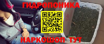 a pvp Тула