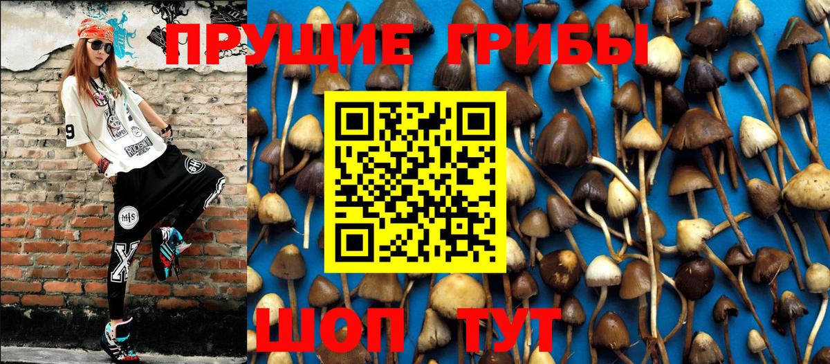 Большой Камень  как найти наркотики  Вход с VPN  Галлюциногенные грибы Magic Shrooms 