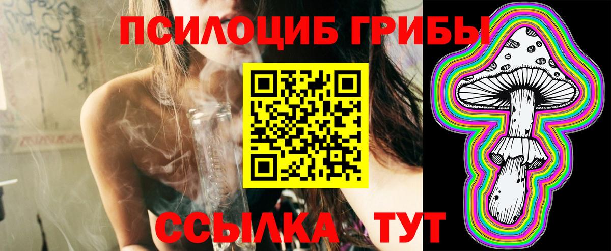 Псилоцибиновые грибы Psilocybe Большой Камень
